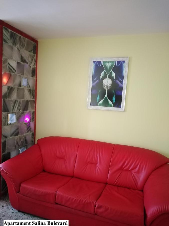 Apartament Salina Bulevard Alba Iulia Zewnętrze zdjęcie