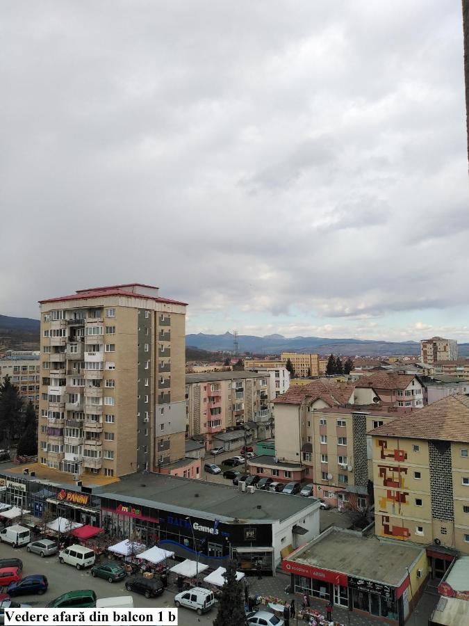 Apartament Salina Bulevard Alba Iulia Zewnętrze zdjęcie